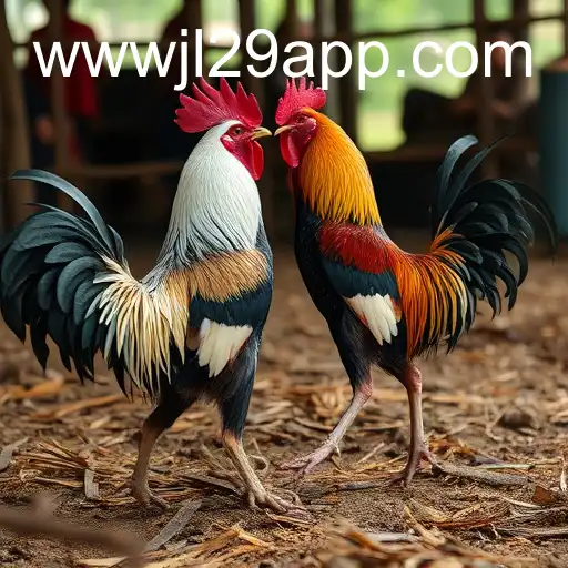 Exploring the Digital Landscape of Online Sabong